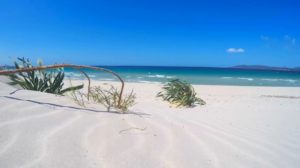 spiaggia maria pia alghero